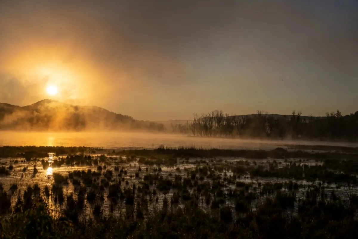 water mist