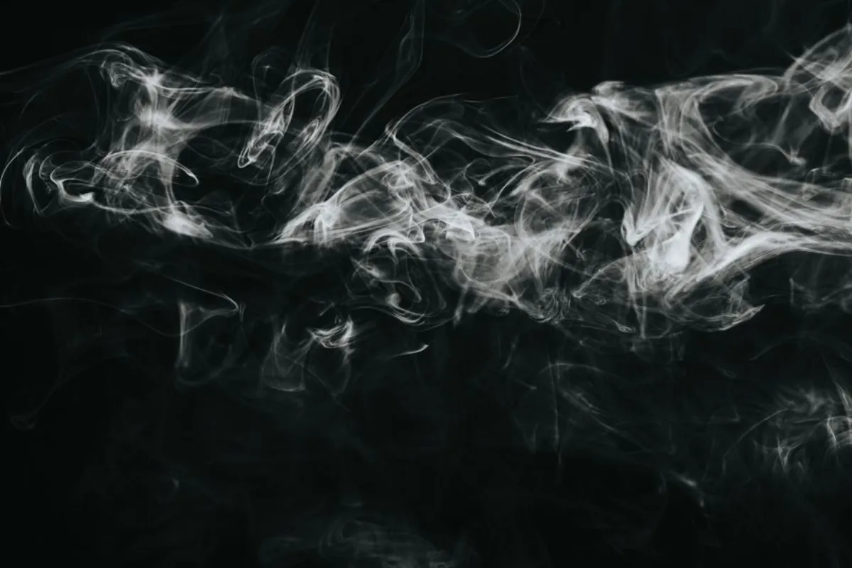 mist studio