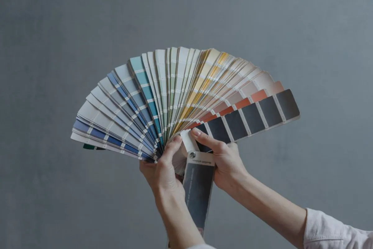 color palette